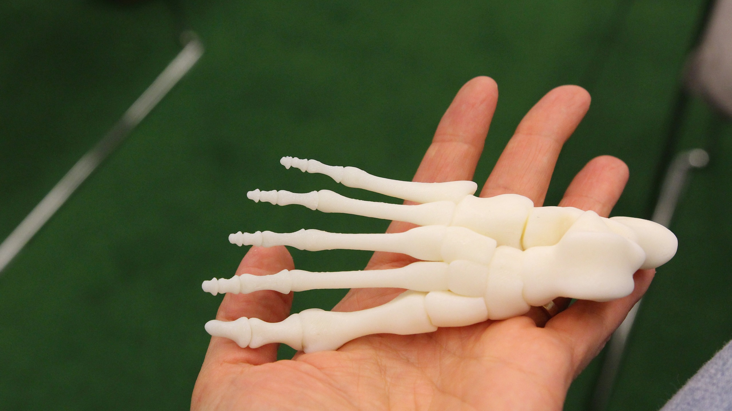 3D-printing_Sliperiet-footbone | 3 Space